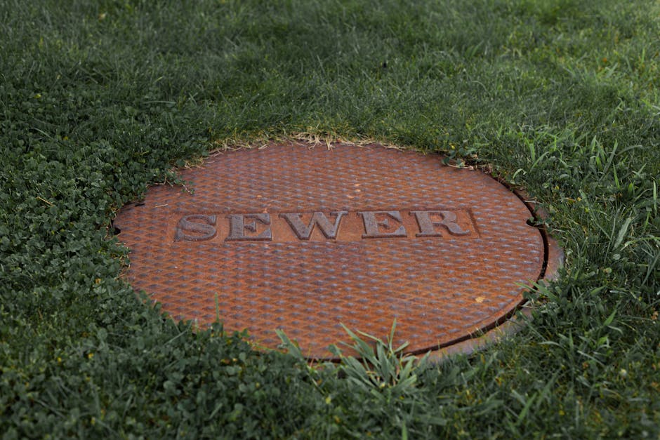 sewer backup cleaning league