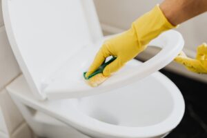flapper replacement toilet