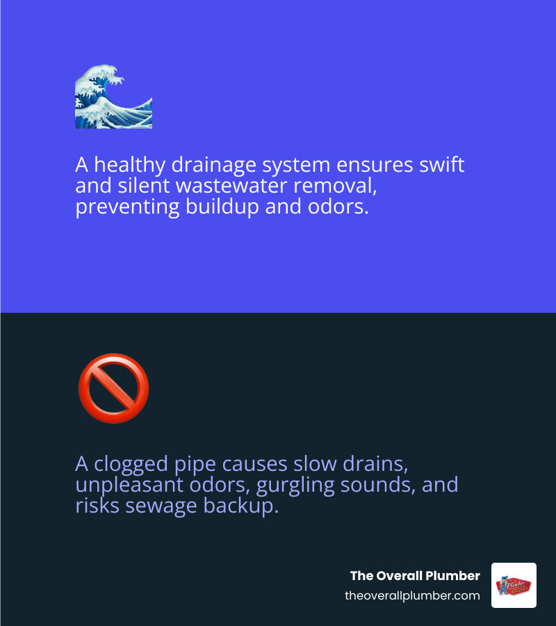 healthy drainage system vs. clogged pipe flow comparison infographic - clogged drain service infographic 2_facts_emoji_blue healthy drainage system vs. clogged pipe flow comparison infographic - clogged drain service infographic 2_facts_emoji_blue