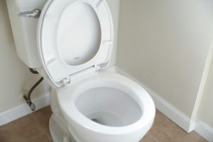 toilet seal repair kit