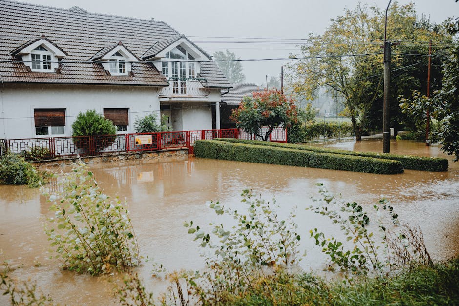 water backflow damage near sump basin