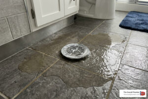 sewer line backing up bathroom drain