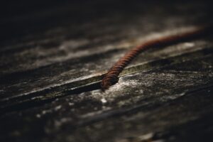 long snake for plumbing