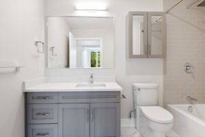 toilet replacement services modern bathroom